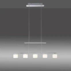 Luminaires Paul Neuhaus Suspension Paul Neuhaus HYDRA LED Acier brossé, 5 lumières