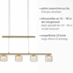 Luminaires Paul Neuhaus Suspension Paul Neuhaus HYDRA LED Laiton, 5 lumières
