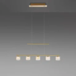 Luminaires Paul Neuhaus Suspension Paul Neuhaus HYDRA LED Laiton, 5 lumières