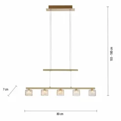 Luminaires Paul Neuhaus Suspension Paul Neuhaus HYDRA LED Laiton, 5 lumières