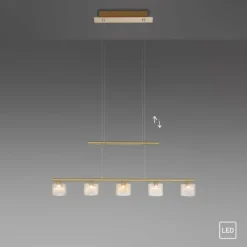 Luminaires Paul Neuhaus Suspension Paul Neuhaus HYDRA LED Laiton, 5 lumières