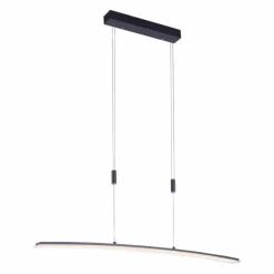 Luminaires Paul Neuhaus Suspension Paul Neuhaus JANINA LED Anthracite, 1 lumière* Éclairage Led