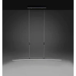 Luminaires Paul Neuhaus Suspension Paul Neuhaus JANINA LED Anthracite, 1 lumière* Éclairage Led