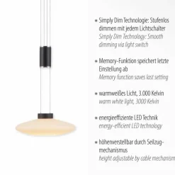 Luminaires Paul Neuhaus Suspension Paul Neuhaus LAUTADA LED Noir, 1 lumière