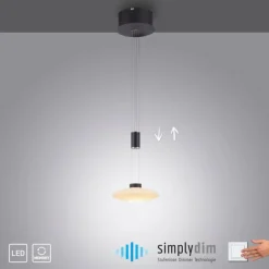 Luminaires Paul Neuhaus Suspension Paul Neuhaus LAUTADA LED Noir, 1 lumière