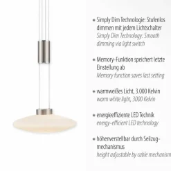 Luminaires Paul Neuhaus Suspension Paul Neuhaus LAUTADA LED Acier brossé, 1 lumière
