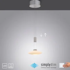 Luminaires Paul Neuhaus Suspension Paul Neuhaus LAUTADA LED Acier brossé, 1 lumière