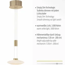 Luminaires Paul Neuhaus Suspension Paul Neuhaus LAUTADA LED Laiton, 1 lumière