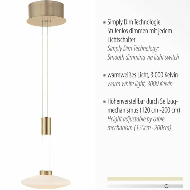 Luminaires Paul Neuhaus Suspension Paul Neuhaus LAUTADA LED Laiton, 1 lumière