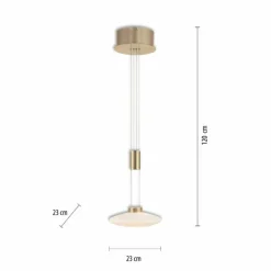 Luminaires Paul Neuhaus Suspension Paul Neuhaus LAUTADA LED Laiton, 1 lumière