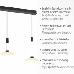 Luminaires Paul Neuhaus Suspension Paul Neuhaus LAUTADA LED Noir, 3 lumières