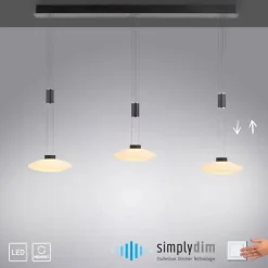 Luminaires Paul Neuhaus Suspension Paul Neuhaus LAUTADA LED Noir, 3 lumières