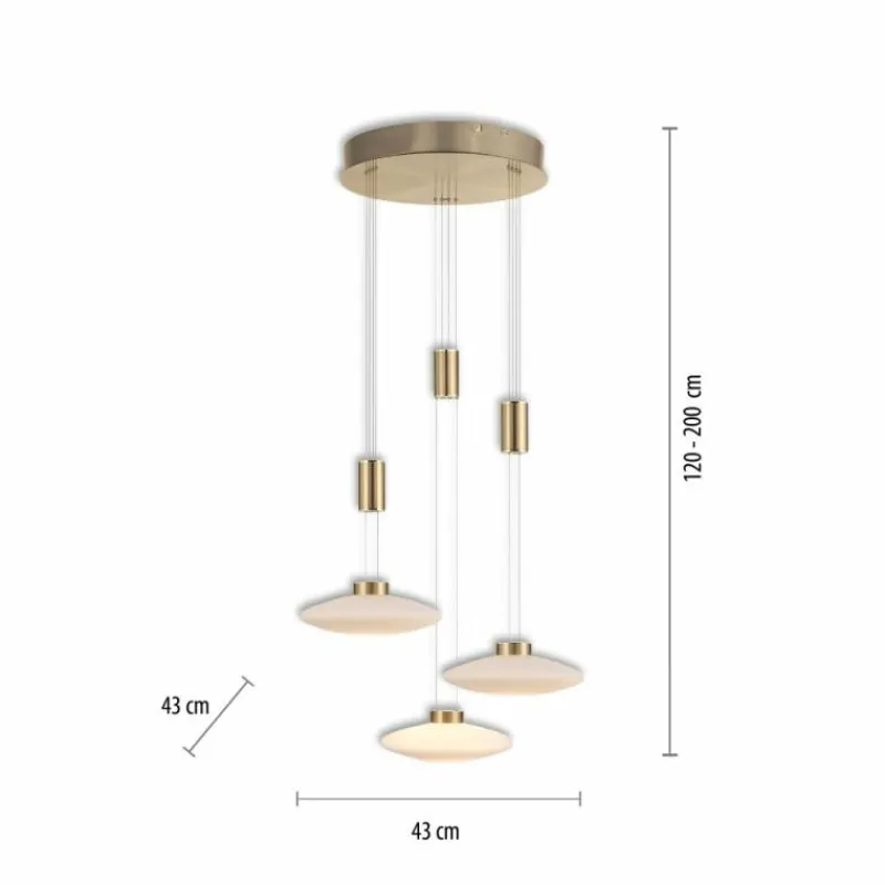 Luminaires Paul Neuhaus Suspension Paul Neuhaus LAUTADA LED Laiton, 3 lumières