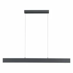 Luminaires Paul Neuhaus Suspension Paul Neuhaus NILA LED Anthracite, 2 lumières, Télécommandes
