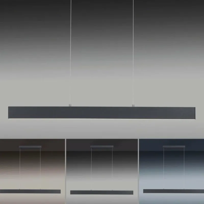 Luminaires Paul Neuhaus Suspension Paul Neuhaus NILA LED Anthracite, 2 lumières, Télécommandes