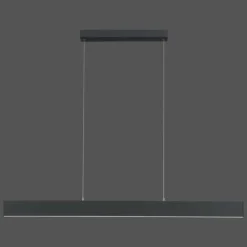 Luminaires Paul Neuhaus Suspension Paul Neuhaus NILA LED Anthracite, 2 lumières, Télécommandes