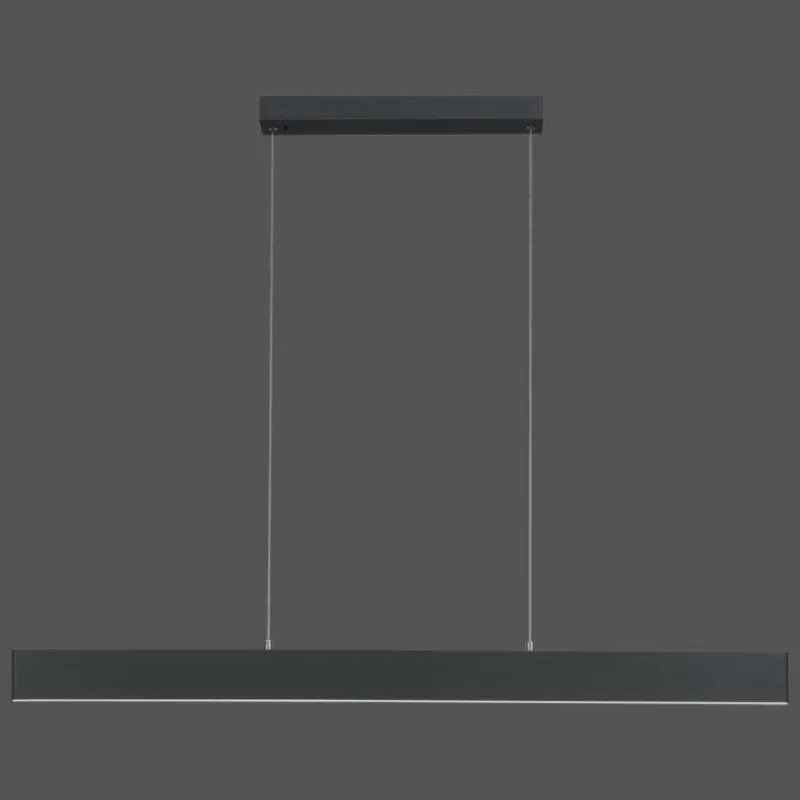 Luminaires Paul Neuhaus Suspension Paul Neuhaus NILA LED Anthracite, 2 lumières, Télécommandes