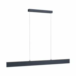 Luminaires Paul Neuhaus Suspension Paul Neuhaus NILA LED Anthracite, 2 lumières, Télécommandes