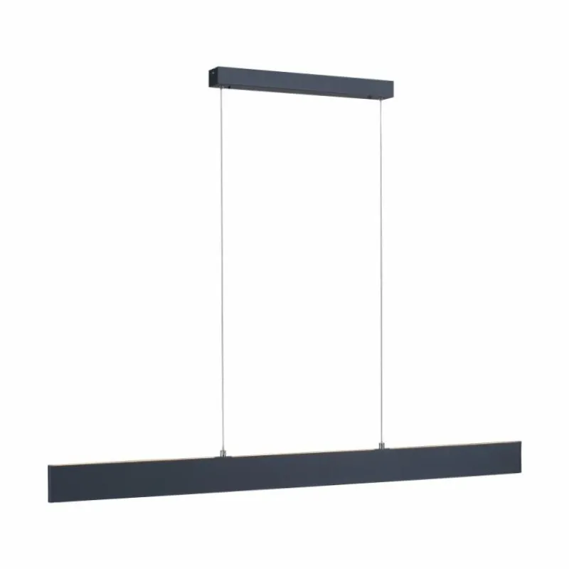 Luminaires Paul Neuhaus Suspension Paul Neuhaus NILA LED Anthracite, 2 lumières, Télécommandes