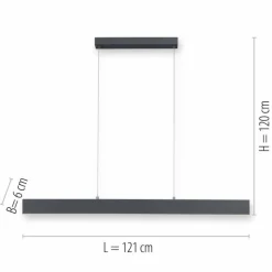 Luminaires Paul Neuhaus Suspension Paul Neuhaus NILA LED Anthracite, 2 lumières, Télécommandes
