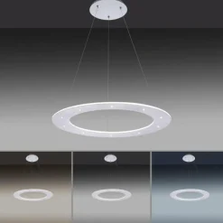Luminaires Paul Neuhaus Suspension Paul Neuhaus PURE-COSMO LED Aluminium, 17 lumières, Télécommandes* Éclairage Led