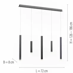 Luminaires Paul Neuhaus Suspension Paul Neuhaus PURE-GEMIN LED Aluminium, Noir, 5 lumières* Suspensions