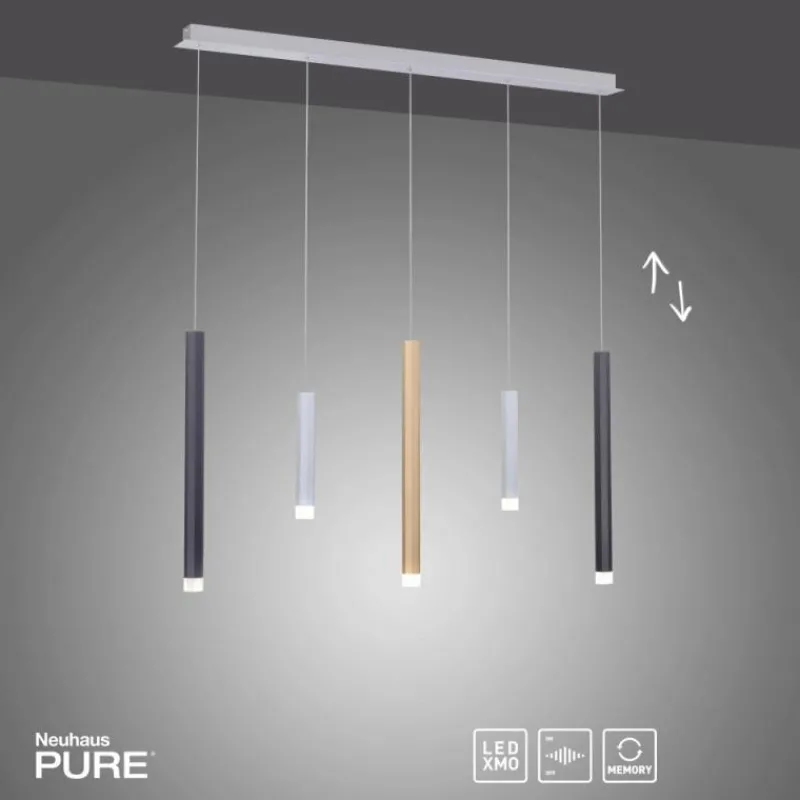 Luminaires Paul Neuhaus Suspension Paul Neuhaus PURE-GEMIN LED Aluminium, Laiton, Noir, 5 lumières* Éclairage Led