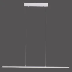 Luminaires Paul Neuhaus Suspension Paul Neuhaus PURE-LITE LED Acier inoxydable, 1 lumière* Éclairage Led