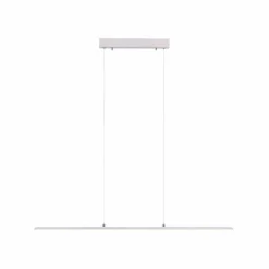 Luminaires Paul Neuhaus Suspension Paul Neuhaus PURE-LITE LED Acier inoxydable, 1 lumière* Éclairage Led