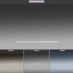 Luminaires Paul Neuhaus Suspension Paul Neuhaus PURE-LITE LED Acier inoxydable, 1 lumière* Éclairage Led