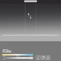 Luminaires Paul Neuhaus Suspension Paul Neuhaus PURE-LITE LED Acier inoxydable, 1 lumière* Éclairage Led