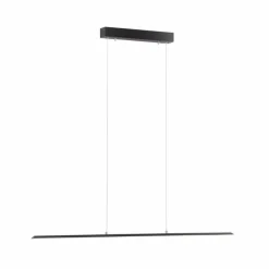 Luminaires Paul Neuhaus Suspension Paul Neuhaus PURE-LITE LED Anthracite, 1 lumière* Éclairage Led