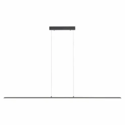Luminaires Paul Neuhaus Suspension Paul Neuhaus PURE-LITE LED Anthracite, 1 lumière* Éclairage Led