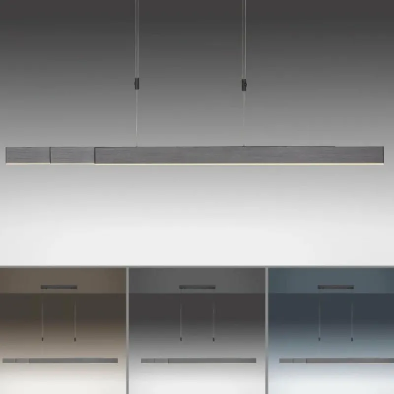 Luminaires Paul Neuhaus Suspension Paul Neuhaus PURE-MOTO LED Gris, 3 lumières, Télécommandes* Éclairage Led