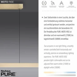 Luminaires Paul Neuhaus Suspension Paul Neuhaus PURE-MOTO-RISE LED Or, 3 lumières, Télécommandes