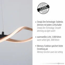 Lampes Dorées-Luminaires Paul Neuhaus Suspension Paul Neuhaus POLINA LED Noir, 1 lumière