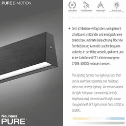 Luminaires Paul Neuhaus Suspension Paul Neuhaus PURE E-MOTION LED Gris, 1 lumière, Télécommandes* Éclairage Led
