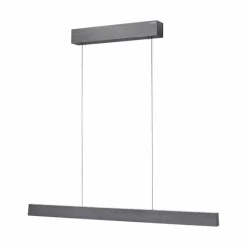 Luminaires Paul Neuhaus Suspension Paul Neuhaus PURE E-MOTION LED Gris, 1 lumière, Télécommandes* Éclairage Led