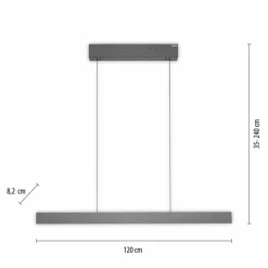 Luminaires Paul Neuhaus Suspension Paul Neuhaus PURE E-MOTION LED Gris, 1 lumière, Télécommandes* Éclairage Led