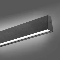 Luminaires Paul Neuhaus Suspension Paul Neuhaus PURE E-MOTION LED Gris, 1 lumière, Télécommandes* Éclairage Led