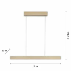 Lampes Dorées-Luminaires Paul Neuhaus Suspension Paul Neuhaus PURE E-MOTION LED Or, 1 lumière, Télécommandes