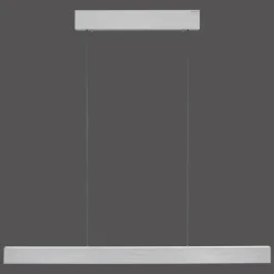 Luminaires Paul Neuhaus Suspension Paul Neuhaus PURE E-MOTION LED Argenté, 1 lumière, Télécommandes* Éclairage Led