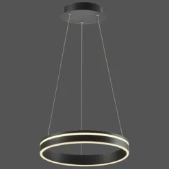 Paul Neuhaus Q-Serie Suspension Paul Neuhaus Q-VITO LED Anthracite, 1 lumière, Télécommandes