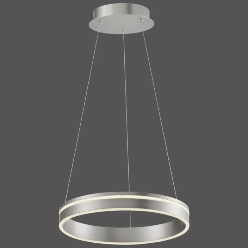 Paul Neuhaus Q-Serie Suspension Paul Neuhaus Q-VITO LED Acier inoxydable, 1 lumière, Télécommandes