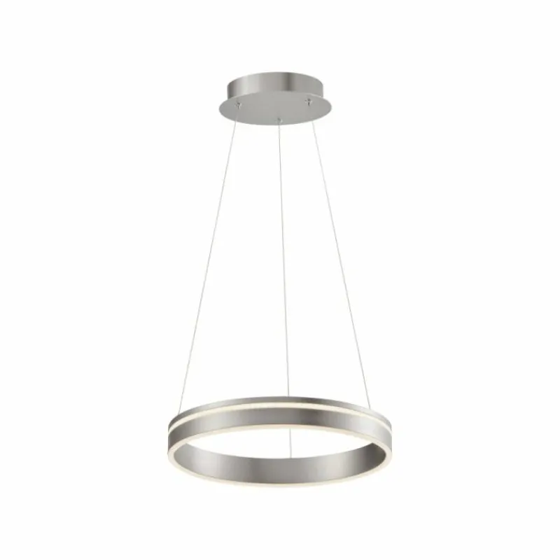 Paul Neuhaus Q-Serie Suspension Paul Neuhaus Q-VITO LED Acier inoxydable, 1 lumière, Télécommandes