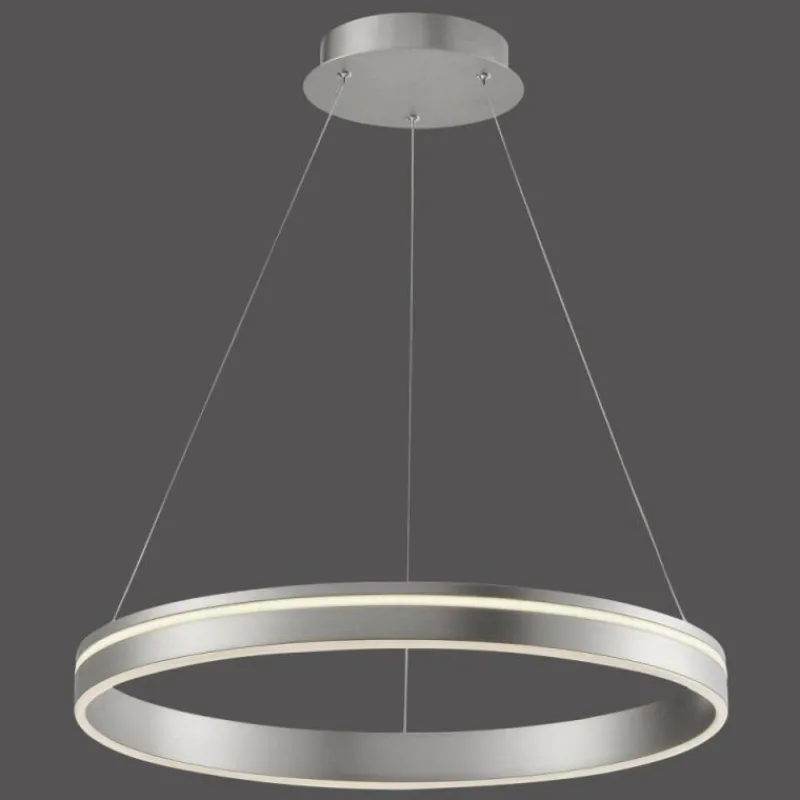 Paul Neuhaus Q-Serie Suspension Paul Neuhaus Q-VITO LED Acier inoxydable, 1 lumière, Télécommandes