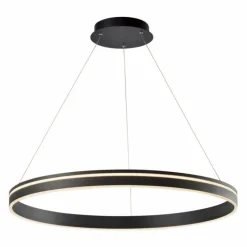 Paul Neuhaus Q-Serie Suspension Paul Neuhaus Q-VITO LED Anthracite, 1 lumière, Télécommandes
