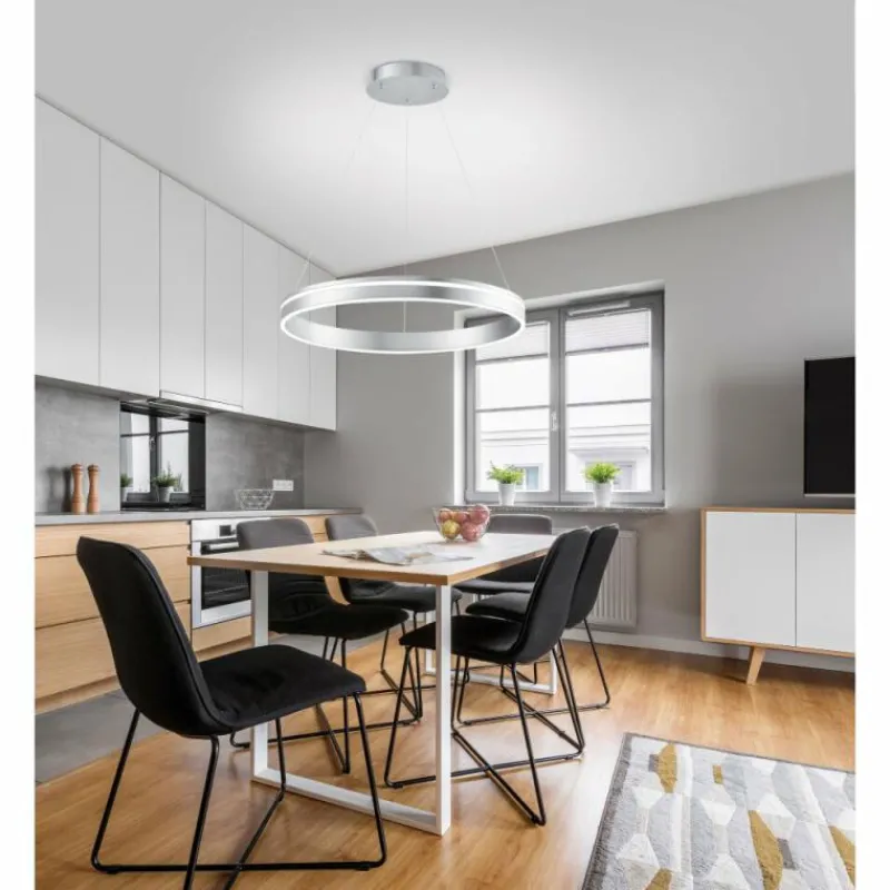 Paul Neuhaus Q-Serie Suspension Paul Neuhaus Q-VITO LED Acier inoxydable, 1 lumière, Télécommandes