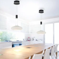 Paul Neuhaus Q-Serie Suspension Paul Neuhaus Q-ETIENNE LED Noir, 1 lumière, Télécommandes