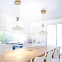 Paul Neuhaus Q-Serie Suspension Paul Neuhaus Q-ETIENNE LED Laiton, 1 lumière, Télécommandes